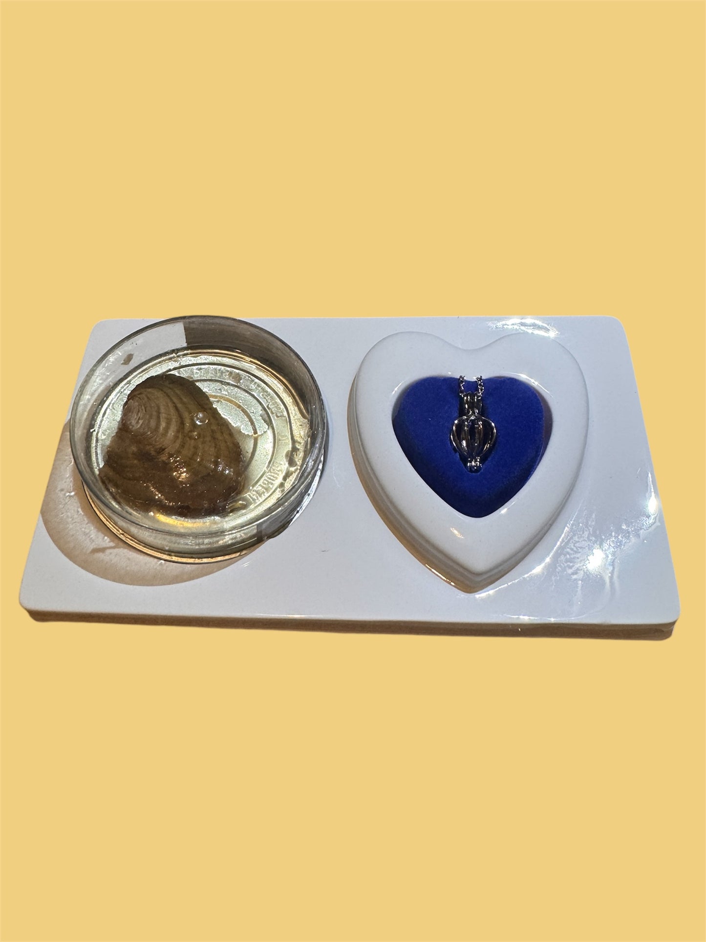 Live Pearl Experience: Unveil a Genuine Pearl Hidden in a Real Shell,Heart Pendant Pearl Necklace, Meaningful Jewelry Gift, Wish Pearl Necklace Kit